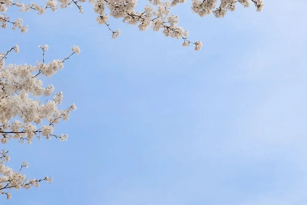 個人契約とIOIサービス契約に対応