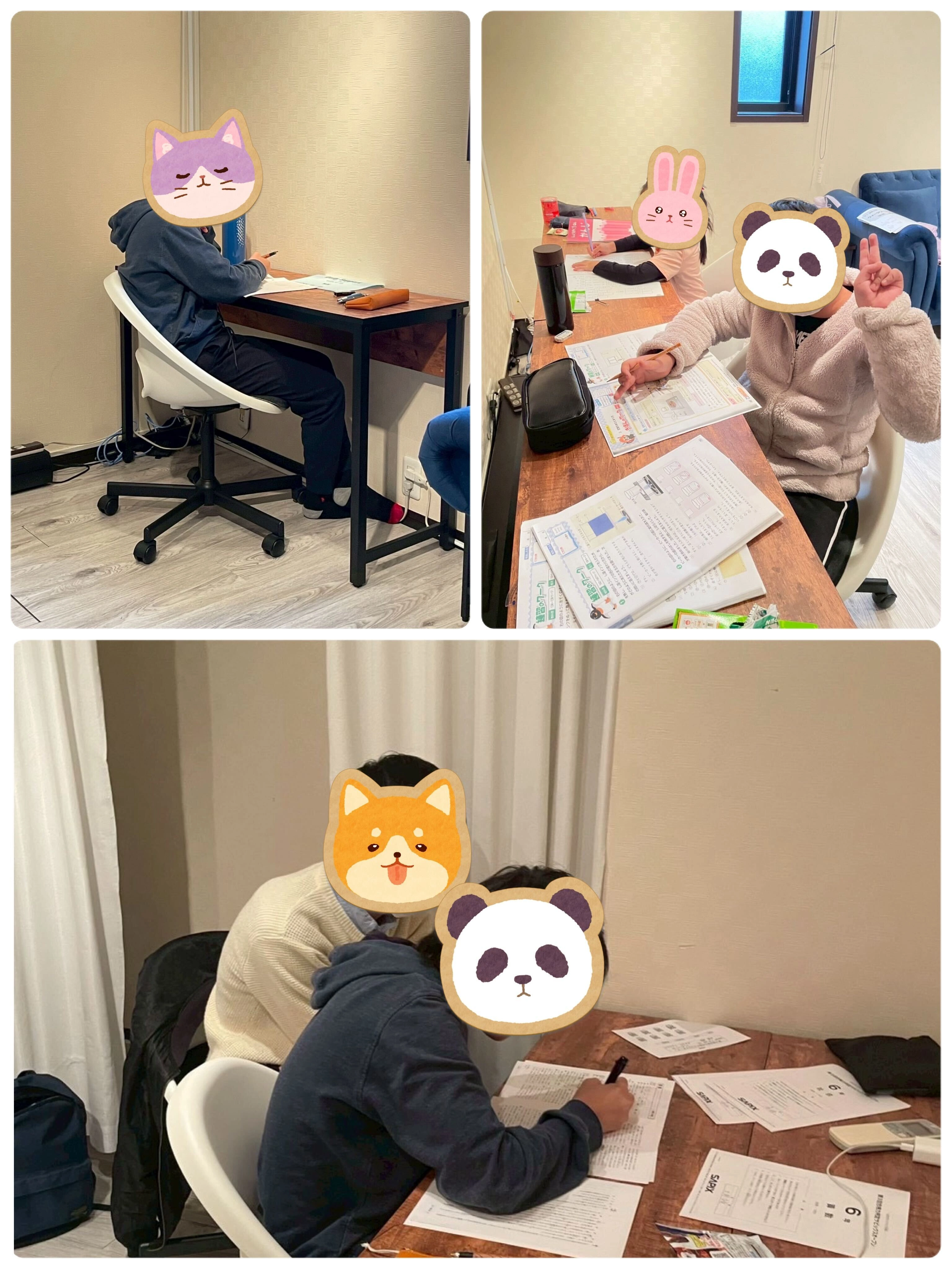 2024年11月9日の勉強会の様子。小1・小4・小6の子どもたちが先生と一緒に机で学習に取り組み、緊張しながらも次第に集中していく姿を写した写真のコラージュ。